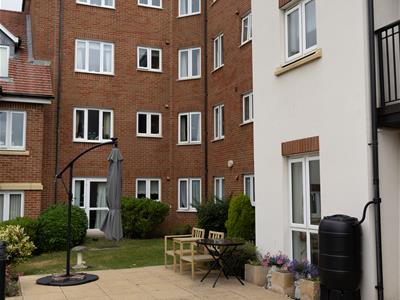 Picture 20